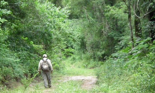 Se promulgó el nuevo Ordenamiento Territorial de Bosques Nativos