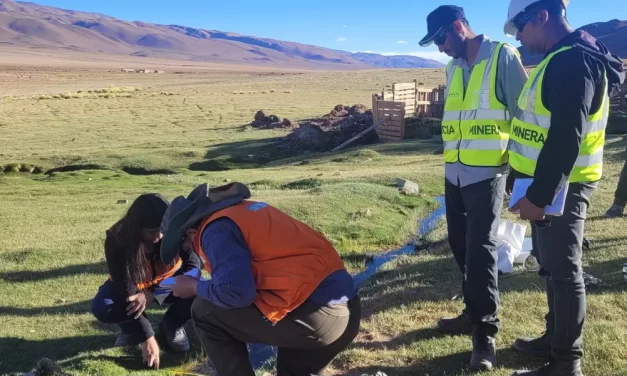 Fiscalización Ambiental y Social en el Salar de Tolillar