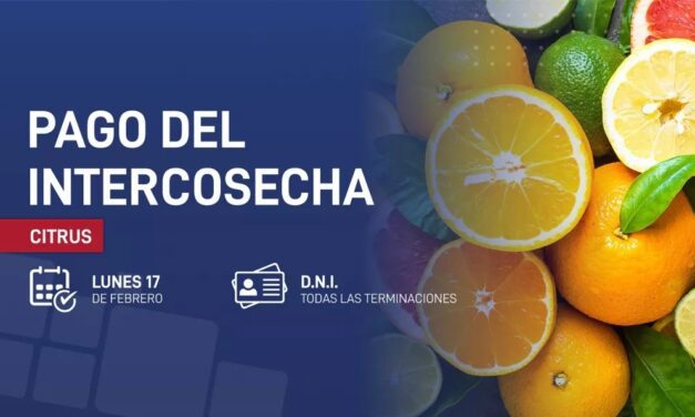 Comenzó el pago del programa Intercosecha