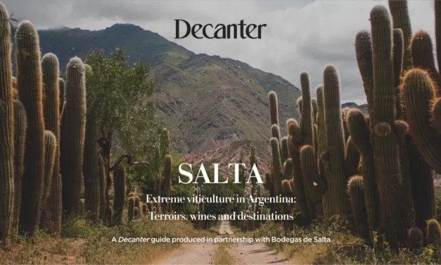 Los vinos de altura de Salta son puestos en valor por la famosa revista especializada Decanter