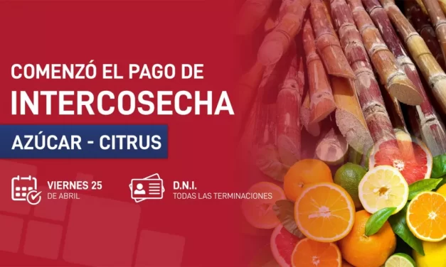 Intercosecha: comenzó el pago del programa