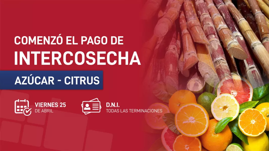 Intercosecha: comenzó el pago del programa