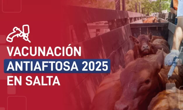 Vacunación Antiaftosa 2025 en Salta: comenzó la primera campaña