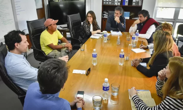 Evalúan posibilidades para la producción sustentable de fibra de vicuña