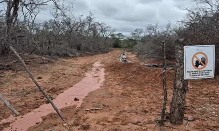 El Gobierno dispuso medidas para controlar la situación del pozo petrolero en Pichanal