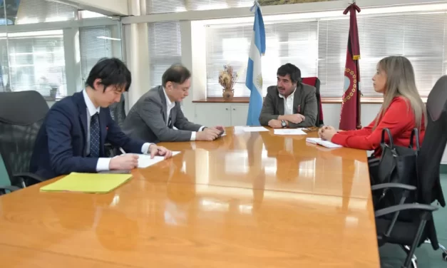 Japón explora oportunidades de inversión minera en Salta