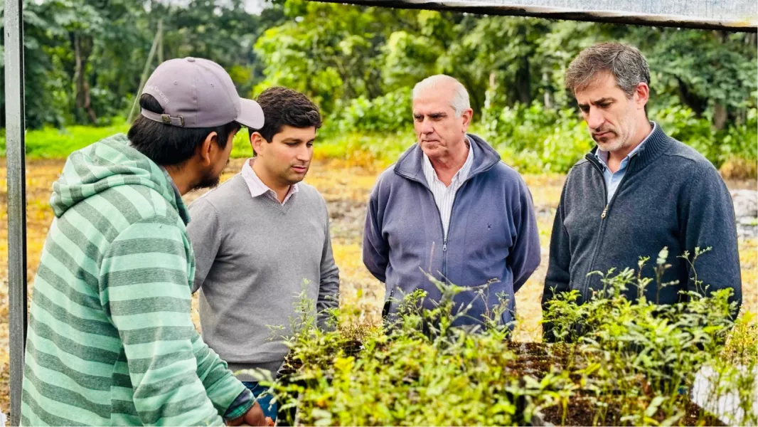 Vivero Forestal de Orán: Provincia y Municipio buscan fortalecer la producción de especies nativas