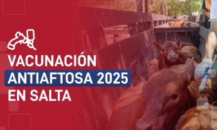 Vacunación Antiaftosa 2025 en Salta: comenzó la primera campaña