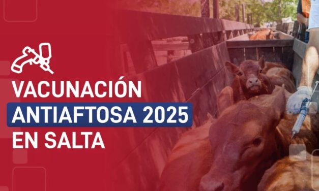 Vacunación Antiaftosa 2025 en Salta: comenzó la primera campaña