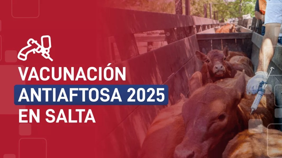 Vacunación Antiaftosa 2025 en Salta: comenzó la primera campaña