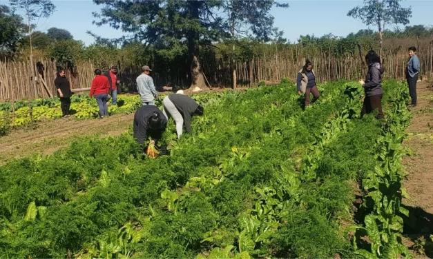 Huertas de comunidades originarias en Capiazuti recibieron asistencia