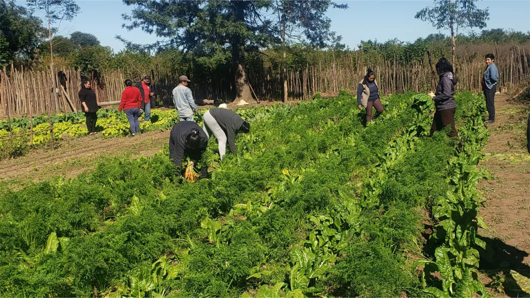 Huertas de comunidades originarias en Capiazuti recibieron asistencia