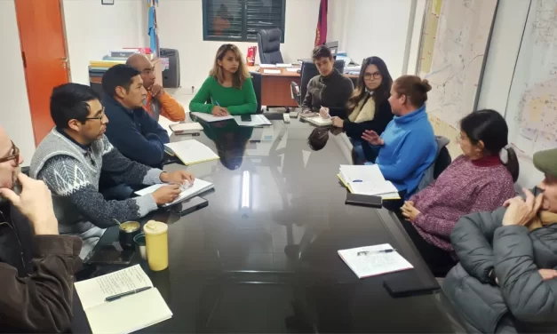 El Gobierno trabaja en la conservación de la Vicuña y un aprovechamiento sostenible de los recursos