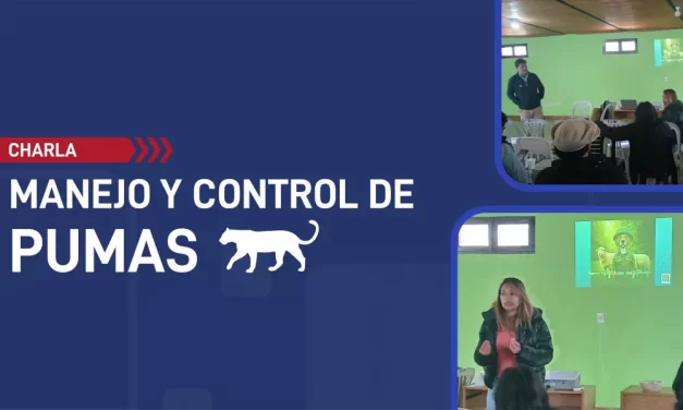 Coordinan acciones para el control y manejo de pumas en La Viña