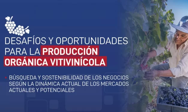 Salta promueve la producción vitivinícola orgánica