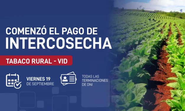 Intercosecha: comenzó el pago del programa