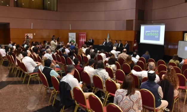 Cerca de 150 referentes participaron del Workshop Provincial de Carbono