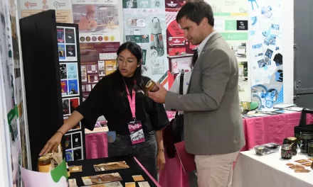 Creatividad y desarrollo: estudiantes salteños diseñaron las marcas de 15 emprendimientos
