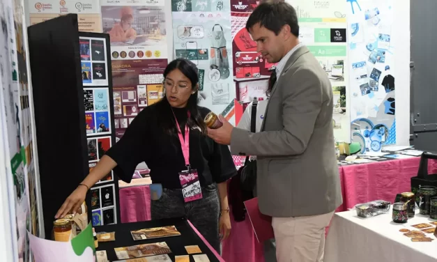 Creatividad y desarrollo: estudiantes salteños diseñaron las marcas de 15 emprendimientos