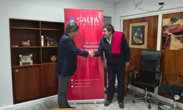 Salta y Turquía estrechan lazos de cooperación productiva y comercial