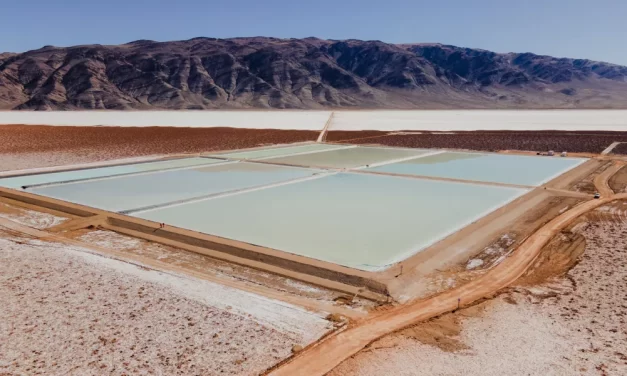 Avanza en Salta el proyecto de litio Pozuelos-Pastos Grandes