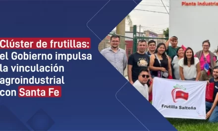 Clúster de frutillas: el Gobierno impulsa la vinculación agroindustrial con Santa Fe