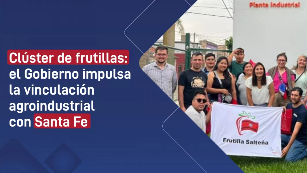 Clúster de frutillas: el Gobierno impulsa la vinculación agroindustrial con Santa Fe