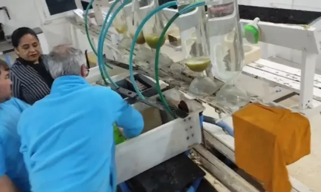 Liberaron 18 mil alevinos en el dique Cabra Corral