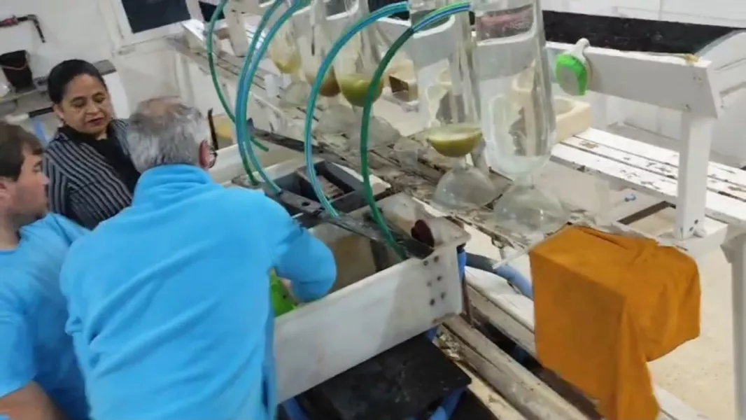 Liberaron 18 mil alevinos en el dique Cabra Corral