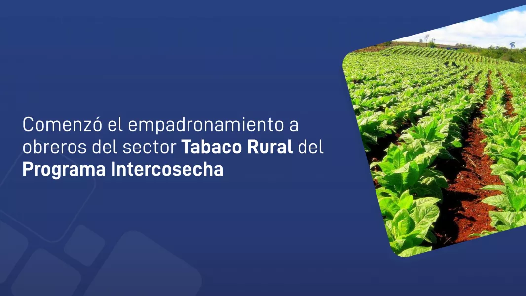 106422-abren-el-empadronamiento-para-el-programa-intercosecha-del-sector-tabaco-rural