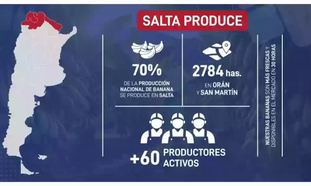 Salta lidera y proyecta al norte argentino como núcleo de la producción nacional de banana