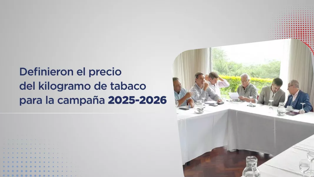 Definieron el precio del kilogramo de tabaco para la campaña 2025-2026