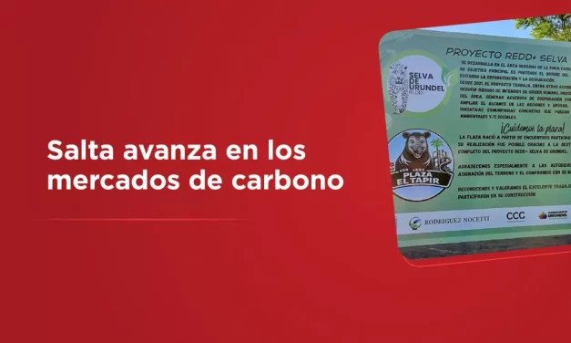 Salta avanza en los mercados de carbono