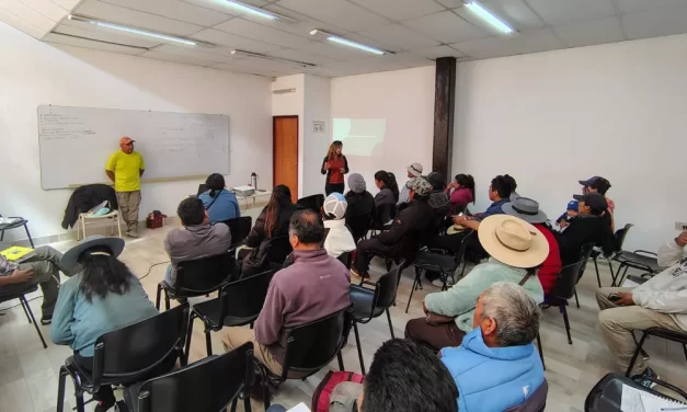 Salta trabaja en el manejo sustentable de la vicuña junto a comunidades de la Puna