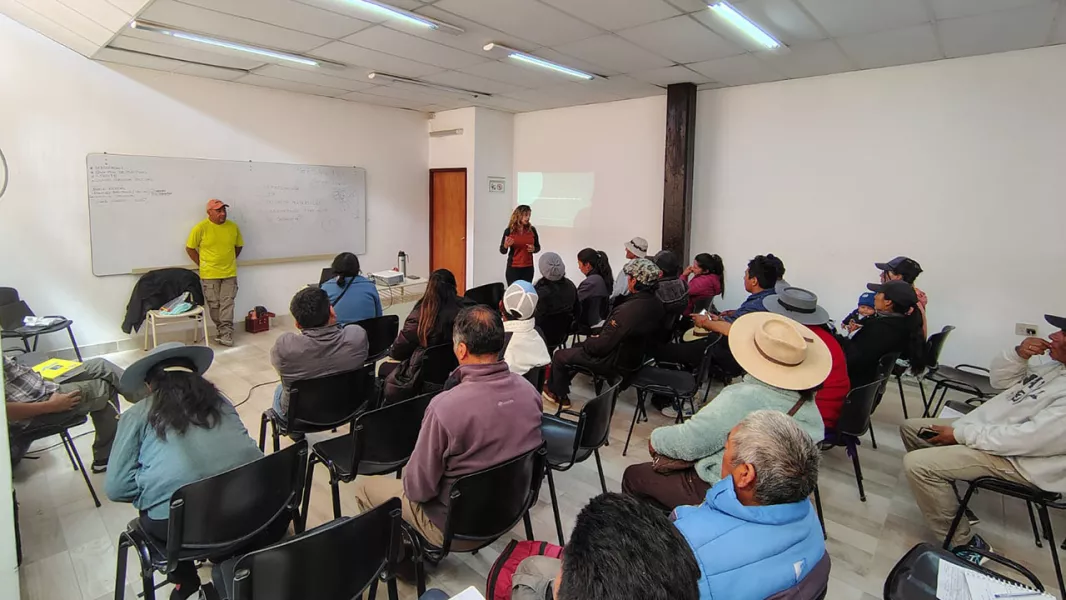 Salta trabaja en el manejo sustentable de la vicuña junto a comunidades de la Puna