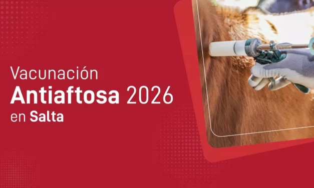 Vacunación Antiaftosa 2026 en Salta: comenzó la primera campaña
