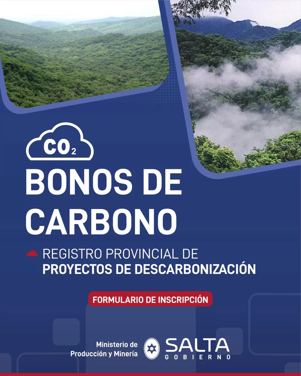 BONOS DE CARBONO