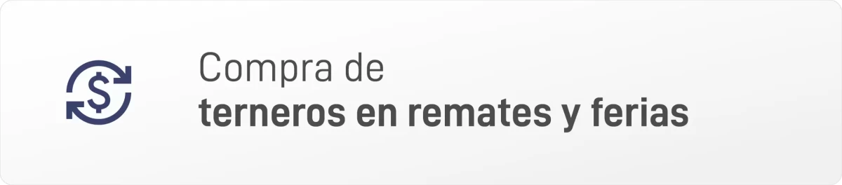 COMPRA DE TERNEROS EN REMATES Y FERIAS