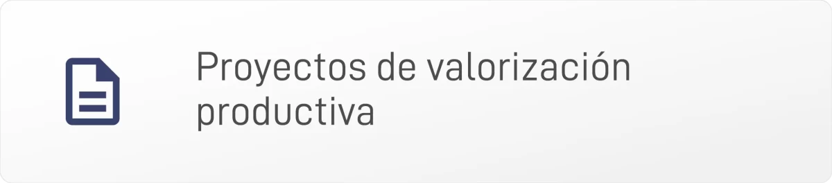 PROYECTOS DE VALORIZACIÓN PRODUCTIVA