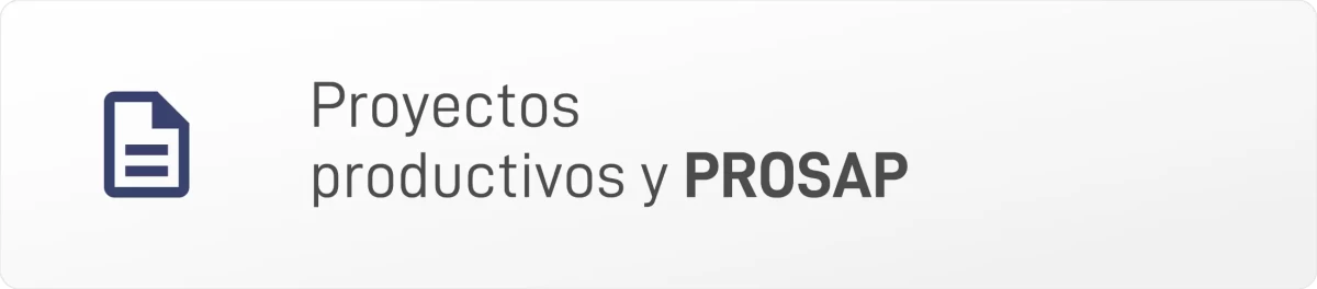 PROYECTOS PRODUCTIVOS Y PROSAP