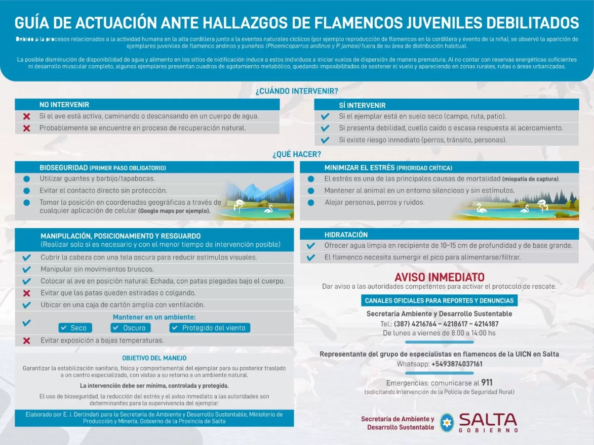 WhatsApp Image 2026-04-07 at 16.21.25