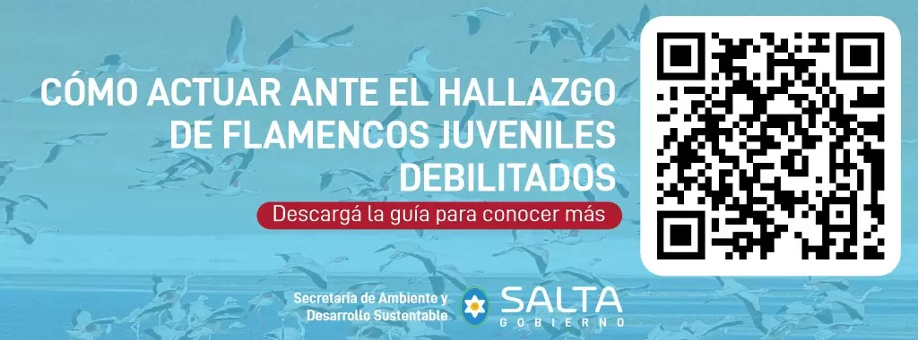 WhatsApp Image 2026-04-08 at 15.45.31