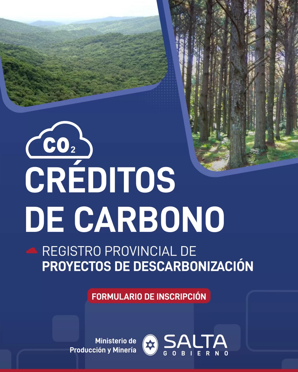Banner Créditos de Carbono