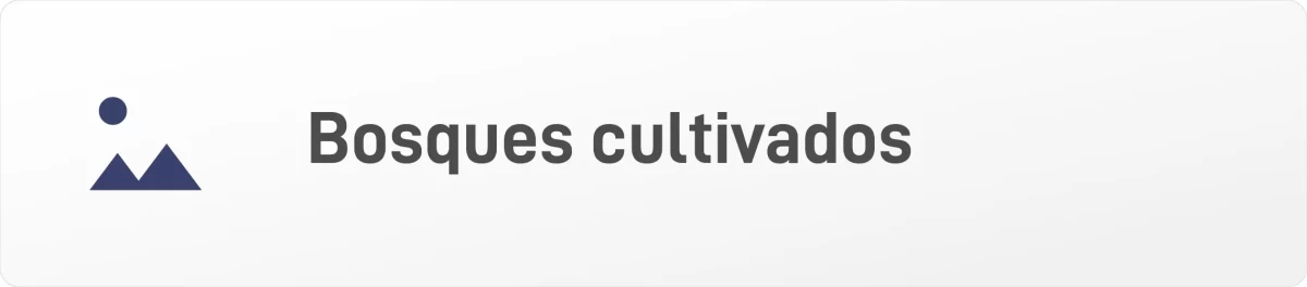 BOSQUES CULTIVADOS