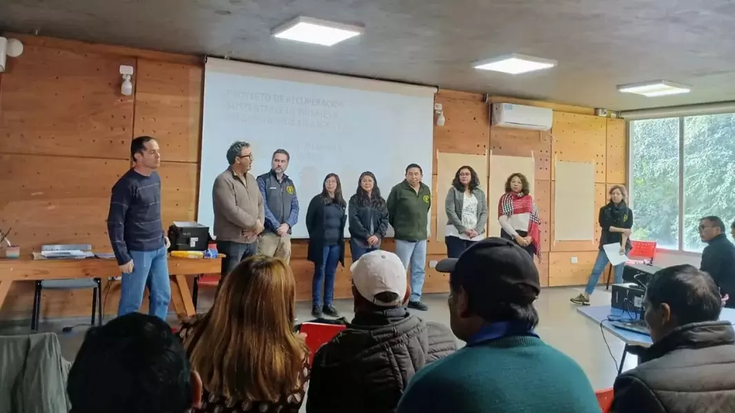 Sin título