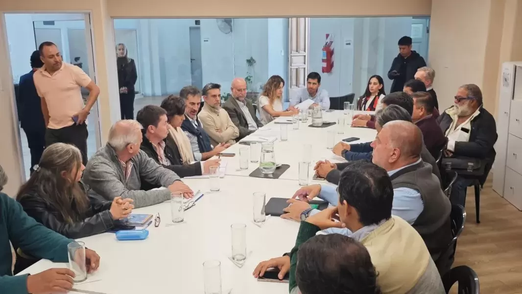 Sin título Sin título
