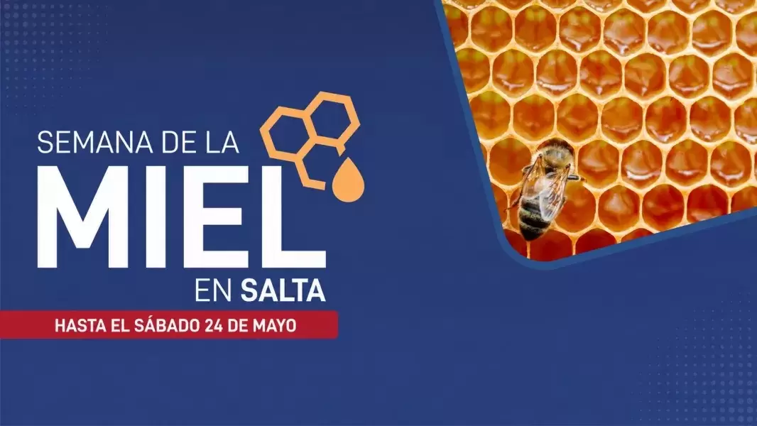 Sin título