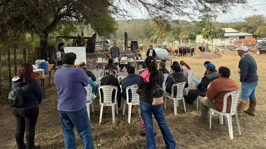 Sin título Sin título