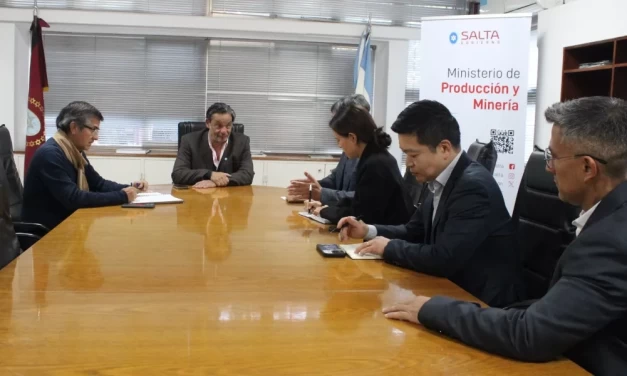 Nuevas etapas de expansión impulsan el crecimiento del litio salteño