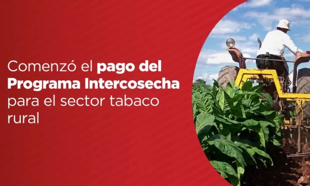 Comenzó el pago del Programa Intercosecha para el sector tabaco rural